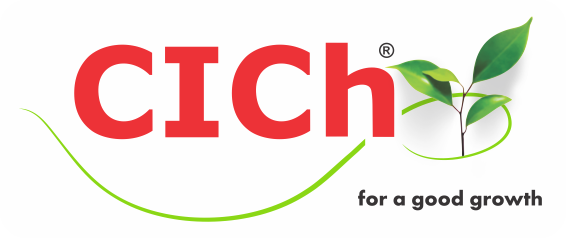 CICH Retina Logo