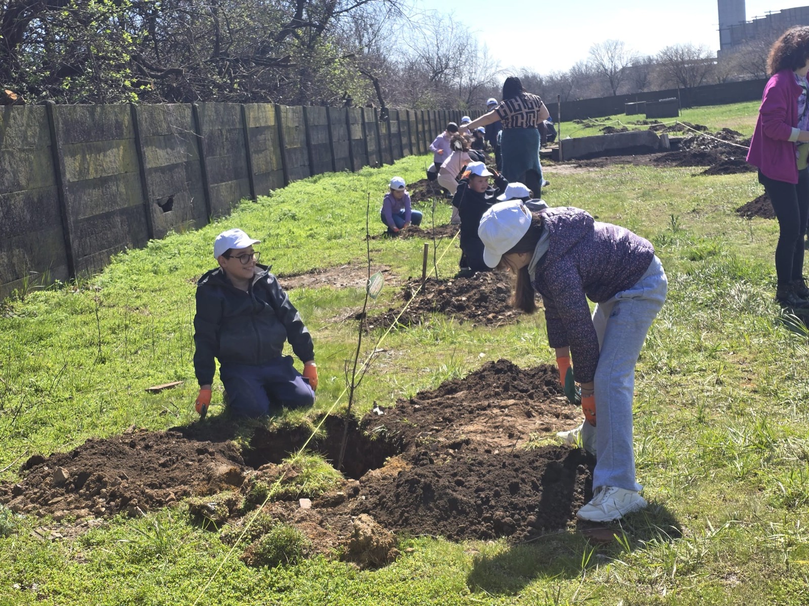 proiect Rădăcini pentru Viitor