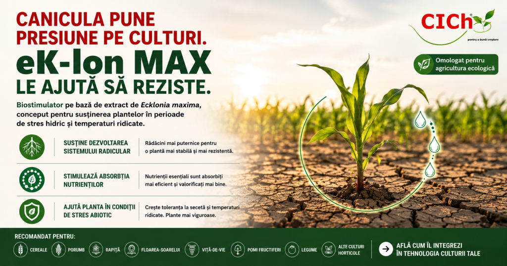 eK-lon MAX Fertilizarea în condiții de stres