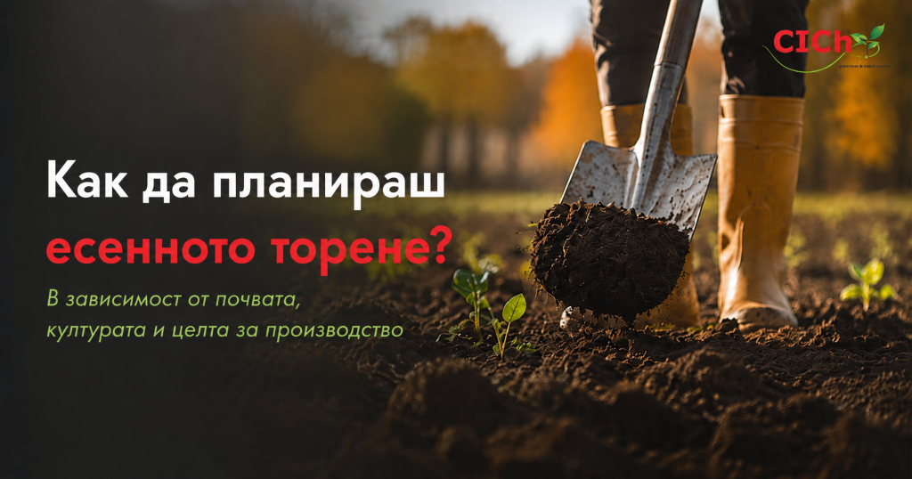 Autumn fertilization